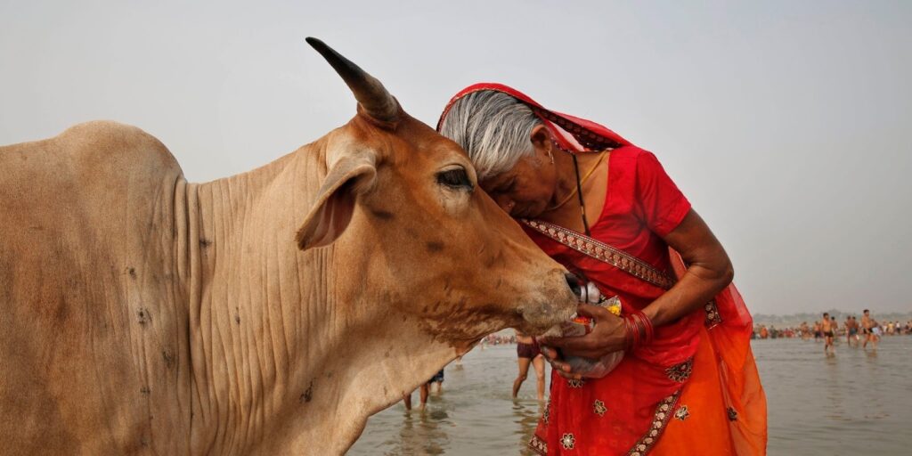 The Importance of Gaumata in Indian Culture and Spirituality